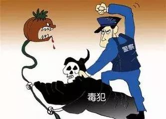 玉溪红塔区实时资讯速览：新鲜动态一网打尽